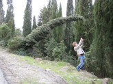 About (12)